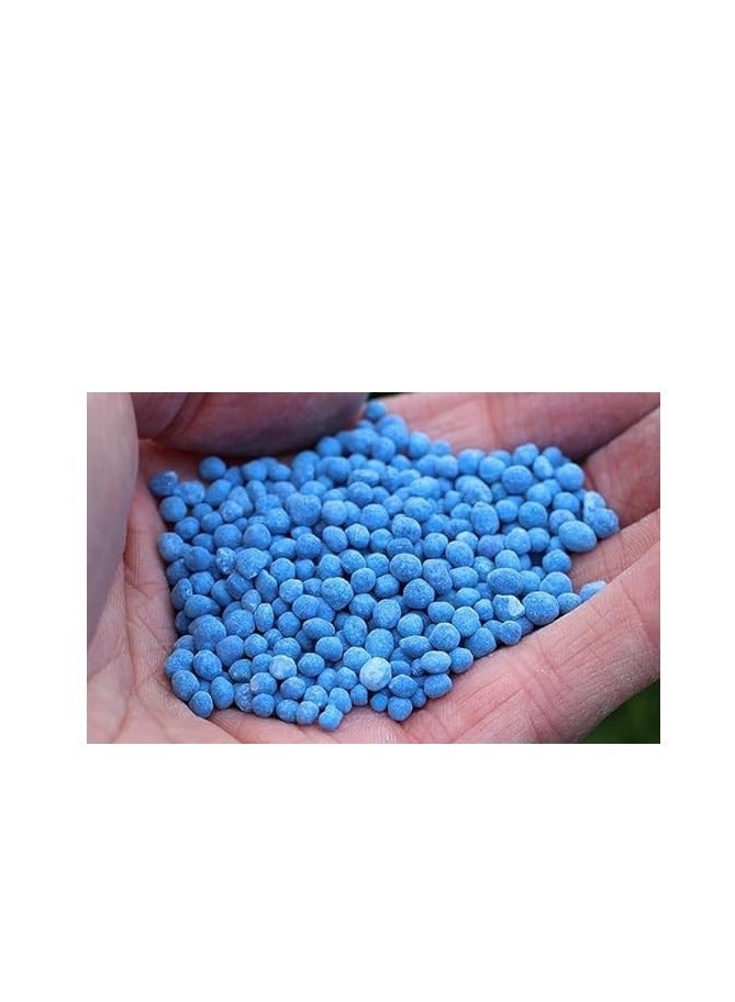 Compo Expert Blaukorn 12-12-17 (+2+TE) Fertilizer â€“ Balanced NPK for Healthier Plants 25kg - Image 3