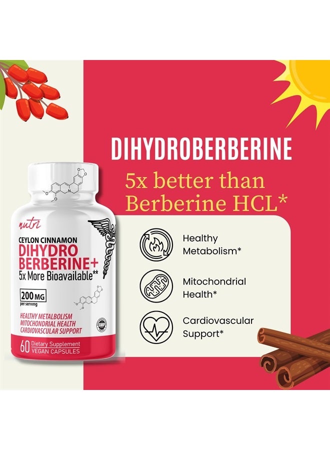 Nature'S Fusions مكمل دihydroberberine 200 ملغ 60 كبسولة - مع قرفة سيلان - أكثر فعالية 5 مرات من بربيرين HCL العادي - سوبر بربيرين مع قرفة سيلان - دihydroberberine مع قرفة سيلان - Image 3