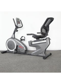 Horizontal Magnetic Bike - The Lazy Bike