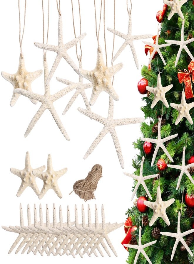 Lucky Baby Christmas Starfish Tree Ornaments, 15pcs 2.3-4.3 Inch Hanging Star Fish Shells Decor for Crafts, Sea Stars for Beach Holiday Wedding Party Decorations - Image 1