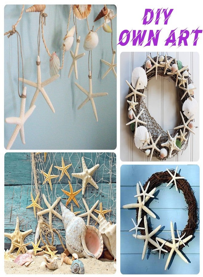 Lucky Baby Christmas Starfish Tree Ornaments, 15pcs 2.3-4.3 Inch Hanging Star Fish Shells Decor for Crafts, Sea Stars for Beach Holiday Wedding Party Decorations - Image 3