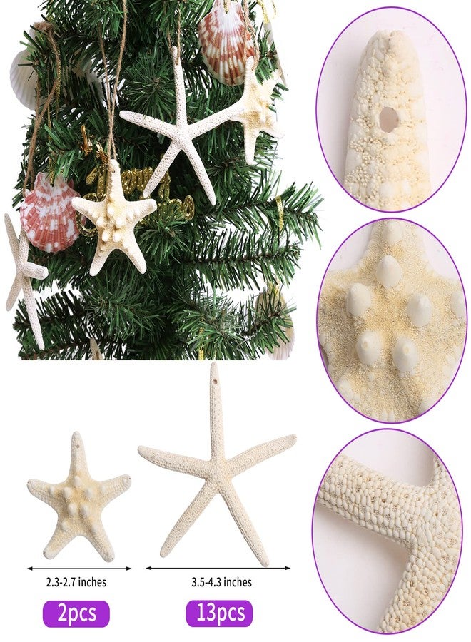 Lucky Baby Christmas Starfish Tree Ornaments, 15pcs 2.3-4.3 Inch Hanging Star Fish Shells Decor for Crafts, Sea Stars for Beach Holiday Wedding Party Decorations - Image 2