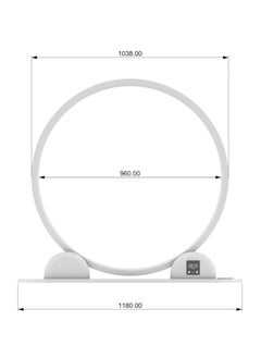 Cat Exercise Wheel Treadmill, Cat Running Exercise Wheel Treadmill Smart for Indoor Cats with Locking Mechanism and Removable Carpet, Size - 110cm x 30cm x 118cm - pzsku/Z47FABAE3299A774FBC82Z/45/_/1737032779/aa857243-6b9d-4c0c-a05a-cffd11b8e011