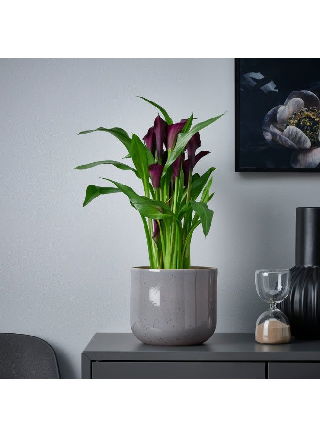 Grey-Blue Plant Pot – Indoor & Outdoor Decorative Flower Pot, Durable and Stylish, 15 cm Diameter - Image 2