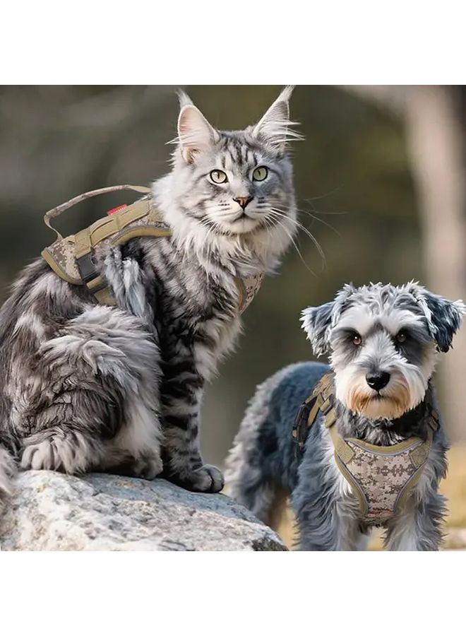 ترقية 1680D مضاد سحب مجموعة هراسة الكلب والمقود الأخضر XL شرائط عاكسة - Image 3