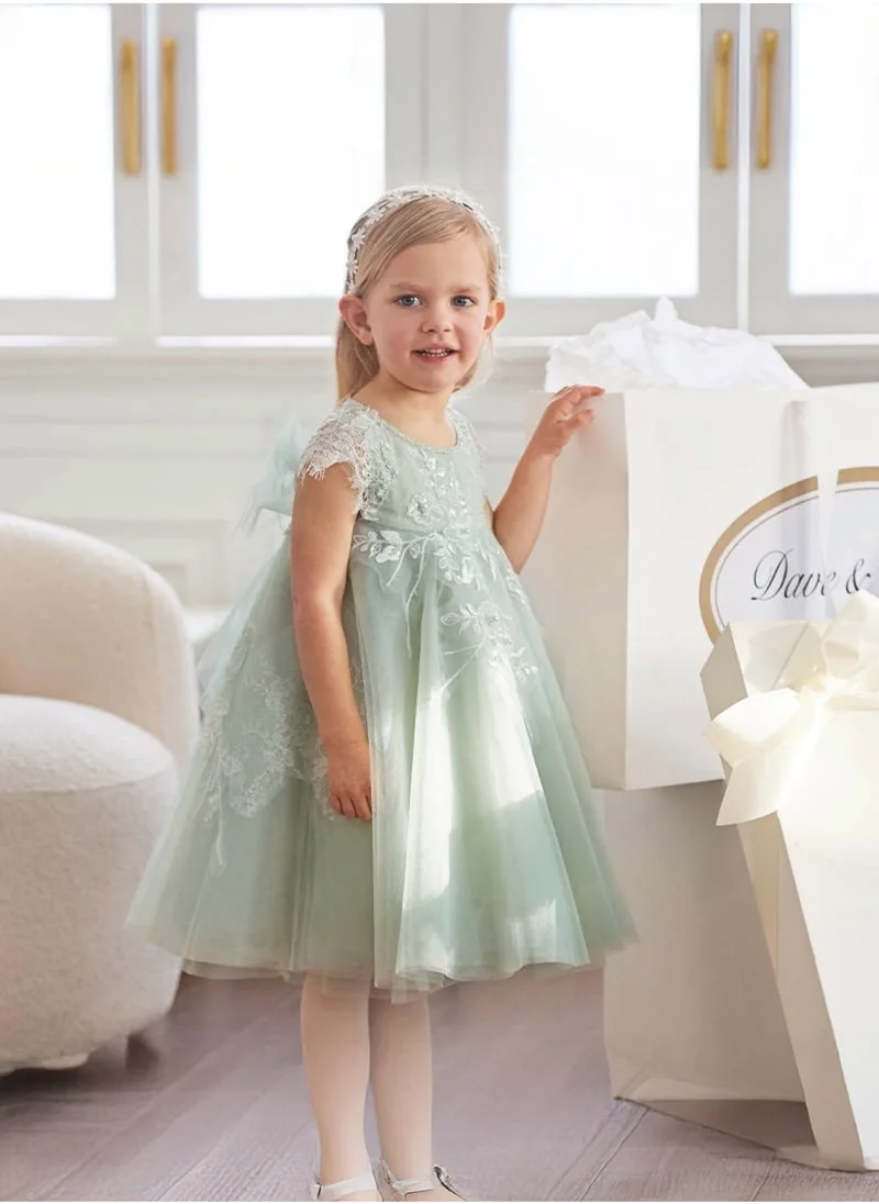 Dave & Bella Embroidered Tulle Dress