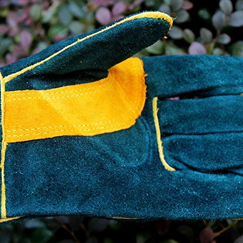 Jupiter Industries Animal Handling Leather Gloves Kevlar Gauntlet for Saftey Against Cats, Dogs, Reptile, Birds, Snakes (18 inches - (Pack of 1 Pair), Green-Yellow) - Image 2