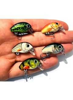 5 Pieces Crankbait Lrf Fishing Rod Bait Set - Sound Ball - Boxed - 2.7cm 1.5gr - pzsku/Z480184CDBD3957DAA149Z/45/_/1740587417/4b1a52ce-65bd-49e5-841a-97ee6b9dadfe