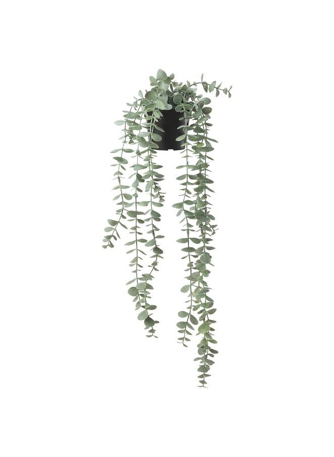 Zaboon Artificial Potted Plant, In/Outdoor Hanging/Eucalyptus, 9 Cm  - Image 1