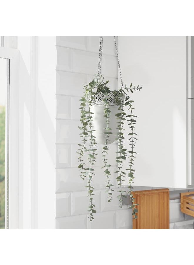 Zaboon Artificial Potted Plant, In/Outdoor Hanging/Eucalyptus, 9 Cm  - Image 5