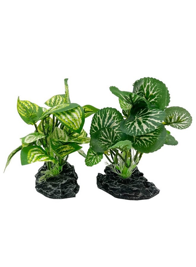 Smoothedo-Pets Aquarium Plants Betta Fish Tank Decorations 4inch/2pcs Soft Silk Artificial Plant Goldfish Waterscape Fish Hides Snake Tank/Reptiles Plants(A-2pcs Set/Green) - Image 1