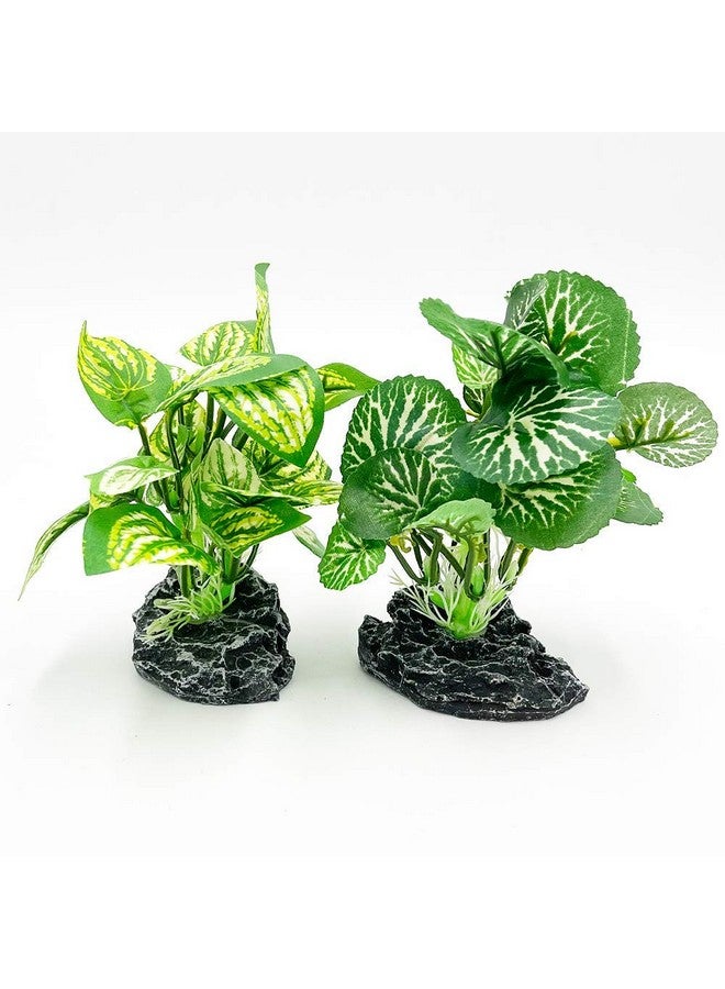 Smoothedo-Pets Aquarium Plants Betta Fish Tank Decorations 4inch/2pcs Soft Silk Artificial Plant Goldfish Waterscape Fish Hides Snake Tank/Reptiles Plants(A-2pcs Set/Green) - Image 4