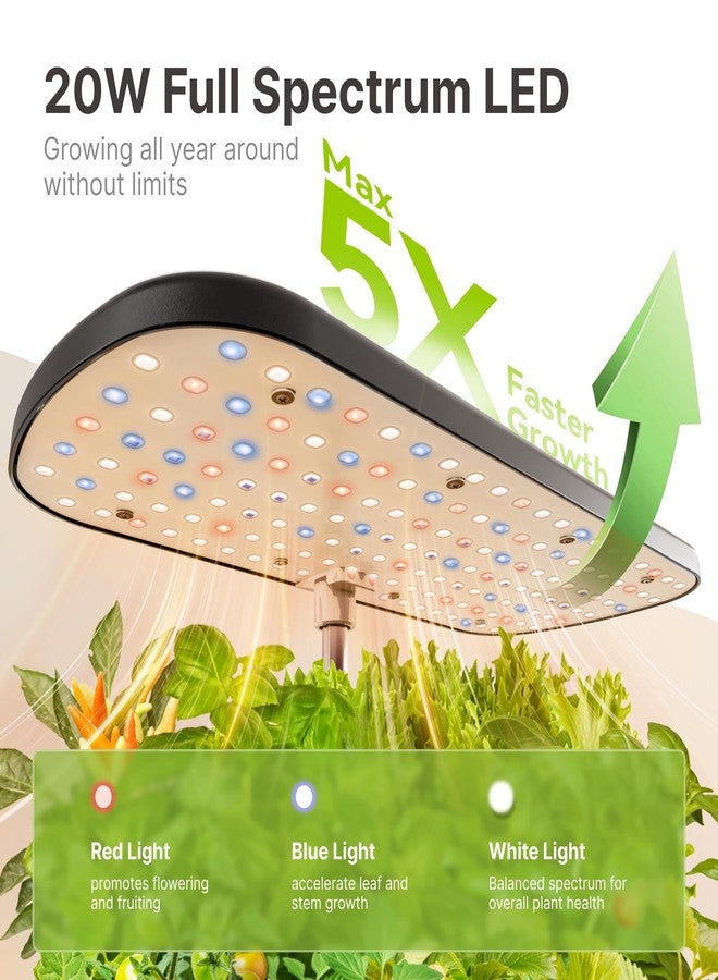 SUNCOZE Hydroponics Growing System Kits with 4L Water Tank, 12H/14H/16H Light Mode, Black - Image 3