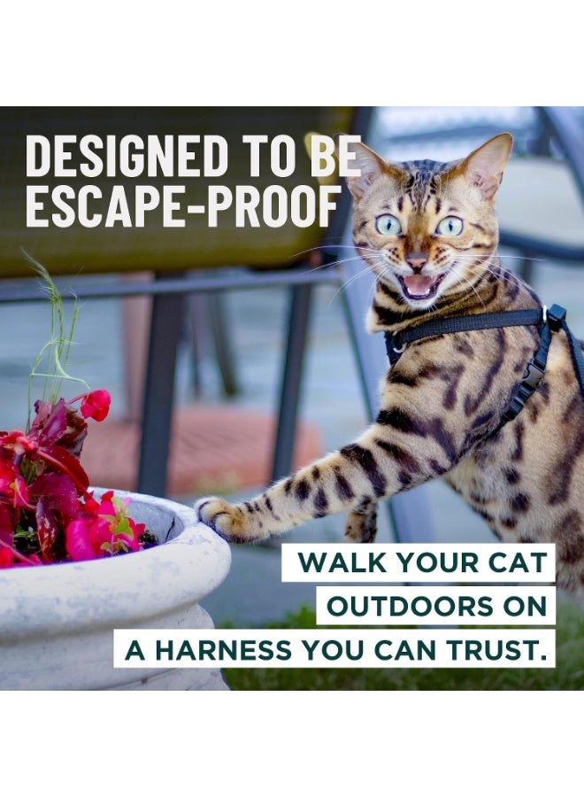 Escape Proof Cat Harness and Leash, Adjustable Walking Vest with 1.8 m Lead, Premium Padded Finish, Snug Secure Fit, Lightweight for Travel and Outdoor Adventures - Image 2
