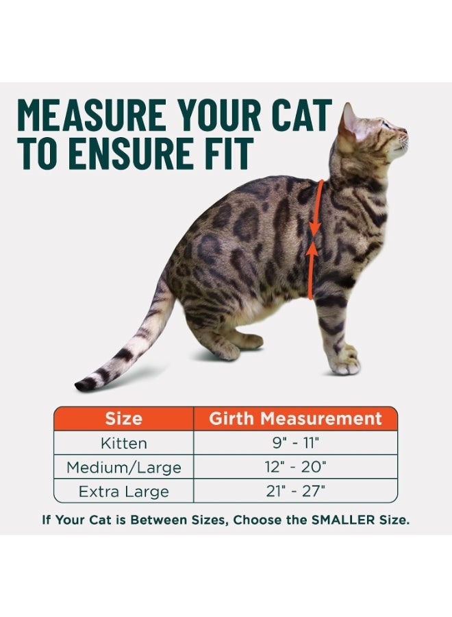 Escape Proof Cat Harness and Leash, Adjustable Walking Vest with 1.8 m Lead, Premium Padded Finish, Snug Secure Fit, Lightweight for Travel and Outdoor Adventures - Image 5