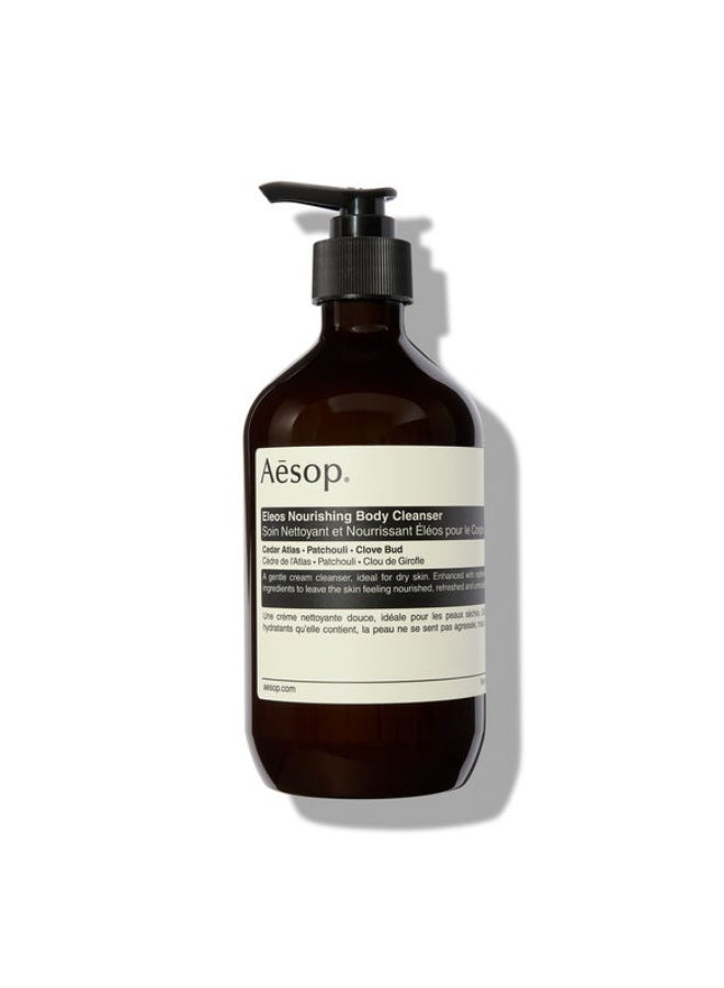 أيسوب منظف ​​الجسم إيسوب إليوس أروماتيك 500 مل - Image 1
