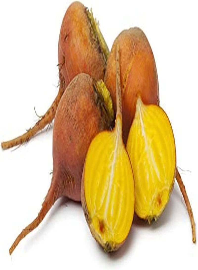 GGOOT 200pcs Yellow Beet Seeds Gardening Planting Perennial Heirloom Vegetable Seed Freshly Dug Out Strong Adaptability Add Color Your Home Garden - Image 1