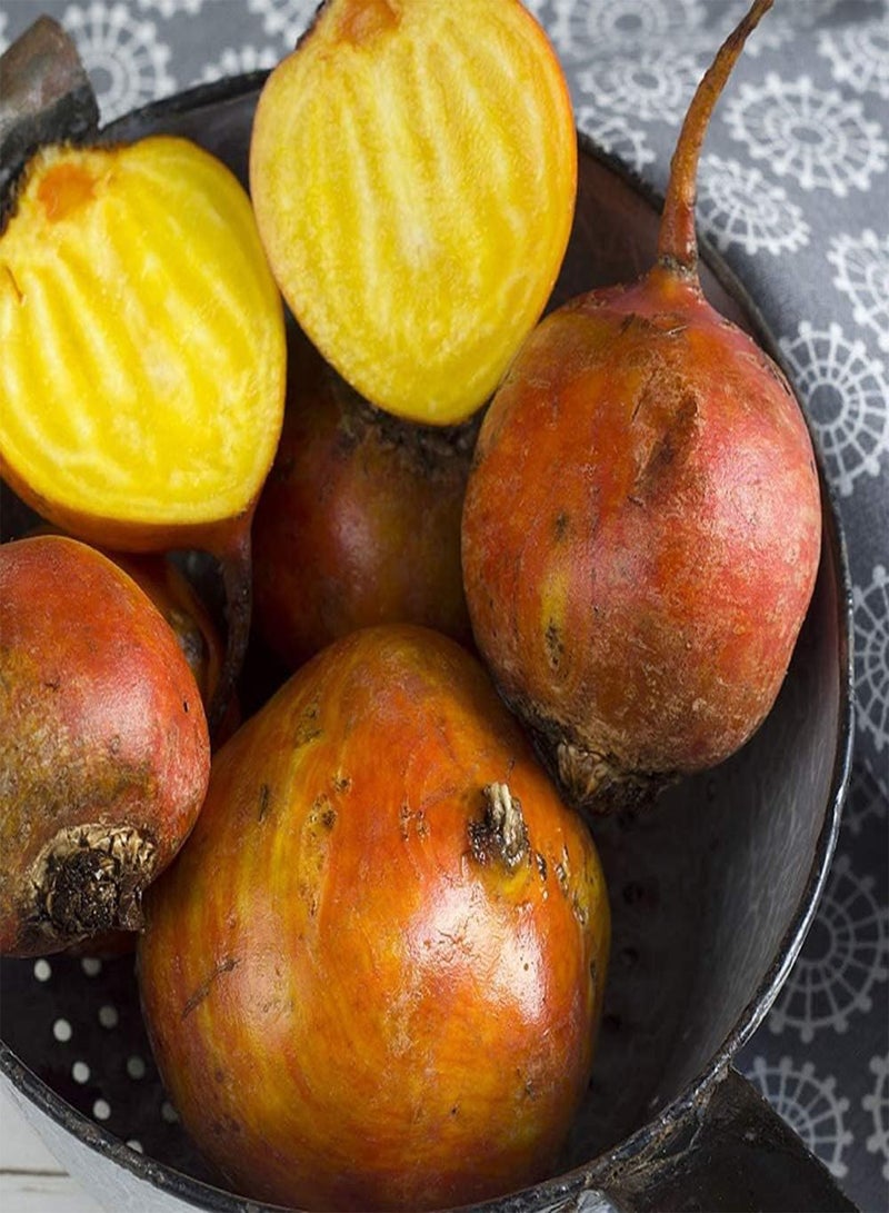 GGOOT 200pcs Yellow Beet Seeds Gardening Planting Perennial Heirloom Vegetable Seed Freshly Dug Out Strong Adaptability Add Color Your Home Garden - Image 2