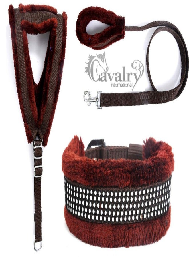 Cavalry Nylon Fur Dog Harness, Dog Collar & Leash Adjustable - Image 1