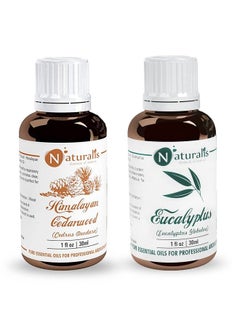 Naturalis Essential Oil Gift Pack Of 230Ml (Cedarwood Oil Eucalyptus Oil)  - Image 2