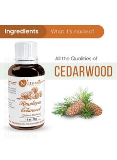 Naturalis Essential Oil Gift Pack Of 230Ml (Cedarwood Oil Eucalyptus Oil)  - Image 3