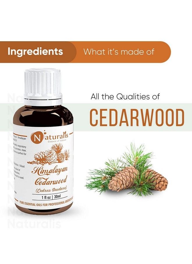 Naturalis Essential Oil Gift Pack Of 230Ml (Cedarwood Oil Eucalyptus Oil)  - Image 3