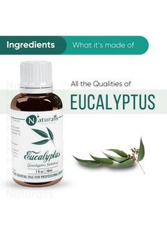 Naturalis Essential Oil Gift Pack Of 230Ml (Cedarwood Oil Eucalyptus Oil)  - Image 5