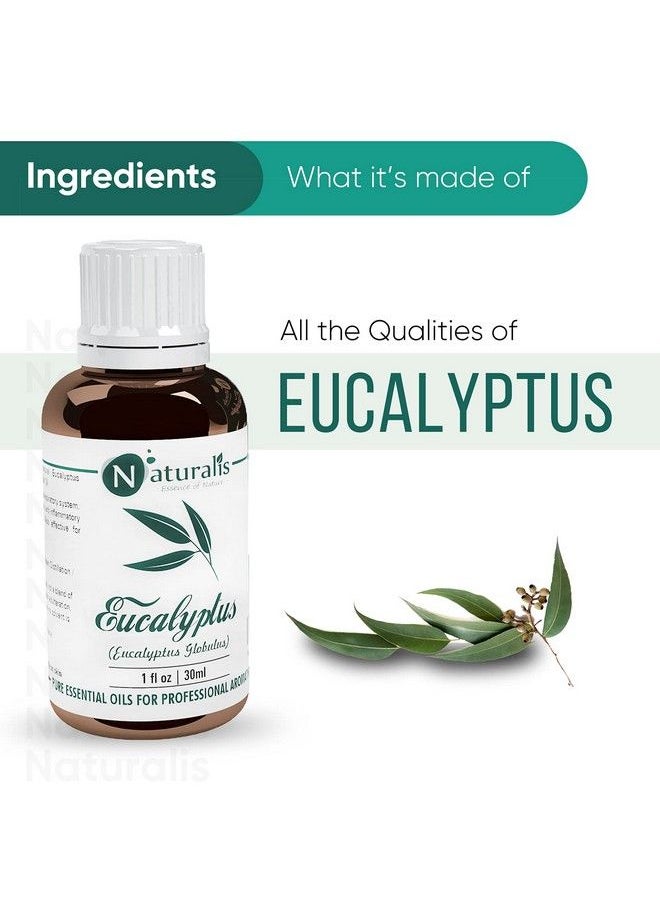 Naturalis Essential Oil Gift Pack Of 230Ml (Cedarwood Oil Eucalyptus Oil)  - Image 5
