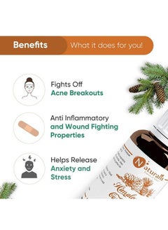 Naturalis Essential Oil Gift Pack Of 230Ml (Cedarwood Oil Eucalyptus Oil)  - Image 4