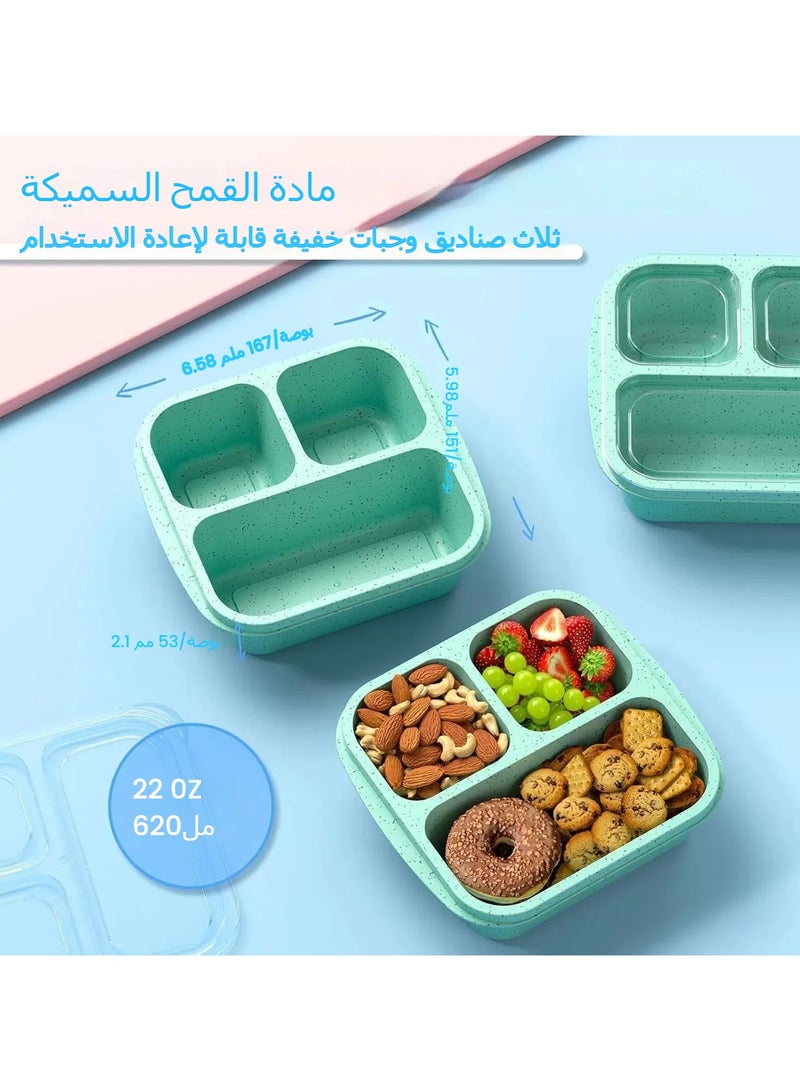 عام صندوق الوجبات الخفيفة (حزم من 3 قطع) - صندوق بينتو قابل للبقاء، مصنوع من 3 أقسام، حاوية قابلة لإعادة الاستخدام للوجبات الخفيفة، صندوق طعام خفيف للبركة للأطفال والكبار، خالٍ من BPA - Image 2