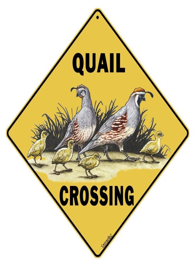 CROSSWALKS Quail Crossing 12" X 12" Aluminum Sign (X143) - Image 1