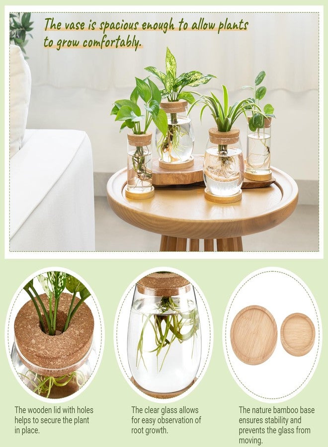 داهي مجموعة داهي المكونة من 4 قطع من محطات إنبات النباتات، عبارة عن أوعية زجاجية لزراعة النباتات على سطح المكتب، مع قاعدة خشبية وغطاء، مناسبة للزراعة المائية، مثالية لتزيين المنزل والمكتب. - Image 3