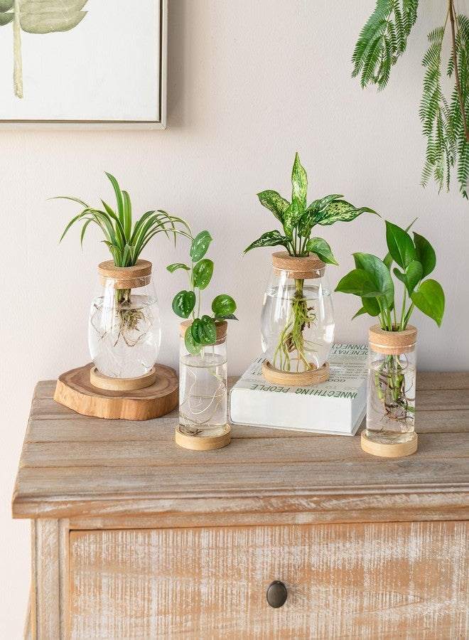داهي مجموعة داهي المكونة من 4 قطع من محطات إنبات النباتات، عبارة عن أوعية زجاجية لزراعة النباتات على سطح المكتب، مع قاعدة خشبية وغطاء، مناسبة للزراعة المائية، مثالية لتزيين المنزل والمكتب. - Image 2