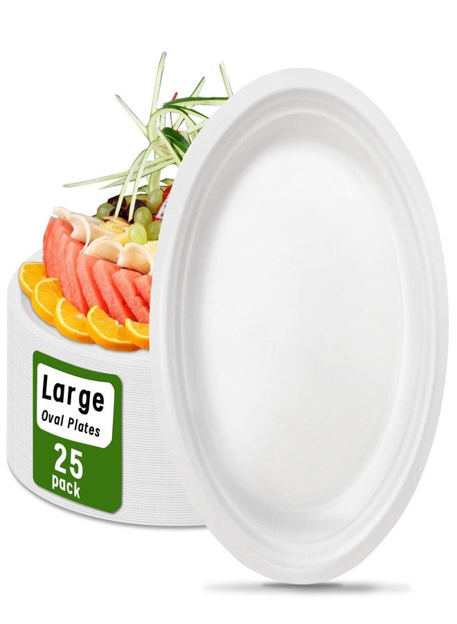 VEIZEDD 25 Compostable Paper Plates - 12 Inch White Heavy Duty Bagasse Eco-Friendly Oval Plates for Meal, BBQ, Party, Thanksgiving - Image 1