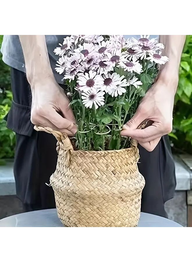 مشابك دعم النباتات الذهبية لتنظيم الفروع ومنع السقوط - Image 2