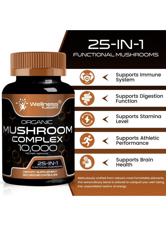WELLNESS LABSRX Mushroom Supplement Capsules 10:1 Extract, Mushroom Complex Capsules 1000mg, Lions Mane Supplement with Turkey Tail, Cordyceps, Reishi - 120 Count - Image 3