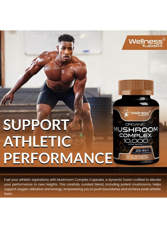 WELLNESS LABSRX Mushroom Supplement Capsules 10:1 Extract, Mushroom Complex Capsules 1000mg, Lions Mane Supplement with Turkey Tail, Cordyceps, Reishi - 120 Count - Image 5