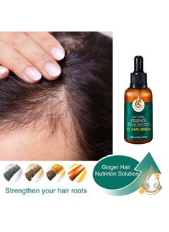 EELHOE Ginger Hair Nutririon Solution,Ginger Germinal Oil, Rapid Growth Hair Treatment 7 Day Hair Growth Serum Essence Oil Regrow, Ginger Essential Oil Stop Hair Loss Hair, Thinning Treatment Hair Growth Oil  - Image 2