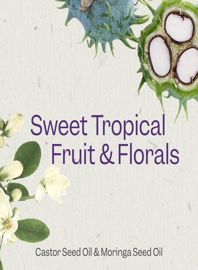 Renpure شامبو رينبيور مورنغا وزيت الخروع، نباتي - معزز للتجاعيد - للشعر الرطب، السهل التحكم فيه والناعم - مع زيت الخروع وزيت مورنغا - للشعر المتموج إلى المجعد - 24 أونصة سائلة - Image 3