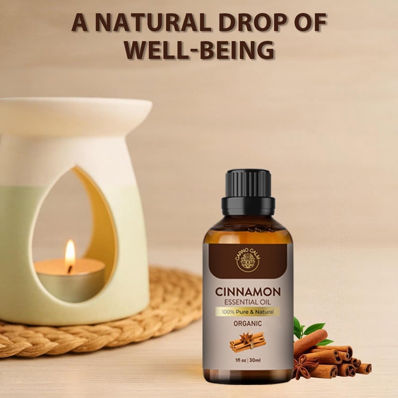 Organic Cinnamon Oil for Diffuser |USDA Certified | 100% Pure & Natural Cinnamon Essential Oil | Perfect for Aromatherapy Fragrance Skin Care & Lips| 30ml | Organic cinnamon oil blends with carrier oils and diffusers for aromatherapy, skin, and hair care. - Image 3
