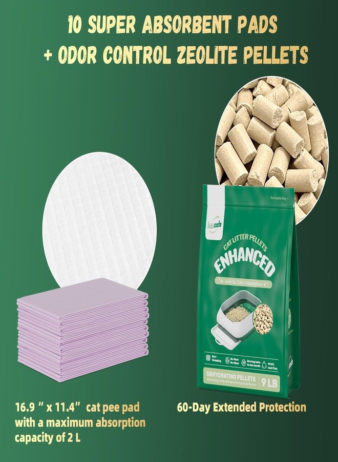 IMMCUTE Zeolite Litter Pellets, 9lb Bag Lasts 60 Days, Odor Control Cat Litter Pellets with Extra 10 Ct Pee Pads, Non Clumping Cat Litter, Low-Tracking, Unscented - Image 2