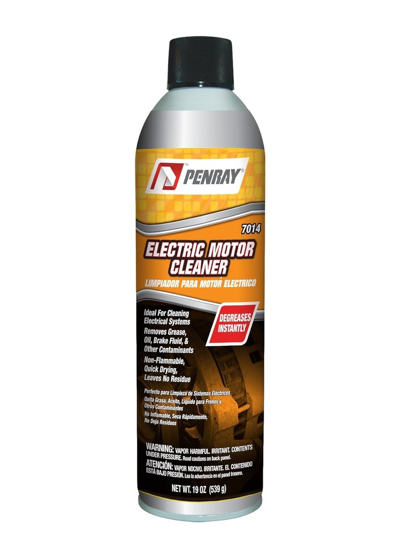 Electric Motor Cleaner