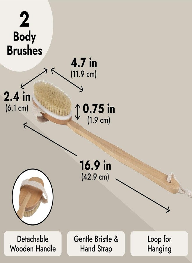 Juvale 2-Pack Detachable Dry Brushing Body Brush - Long Handle Back Brush for Showering and Dry Brushing, 16.9 Inches - Back Scrubber for Shower - Image 4