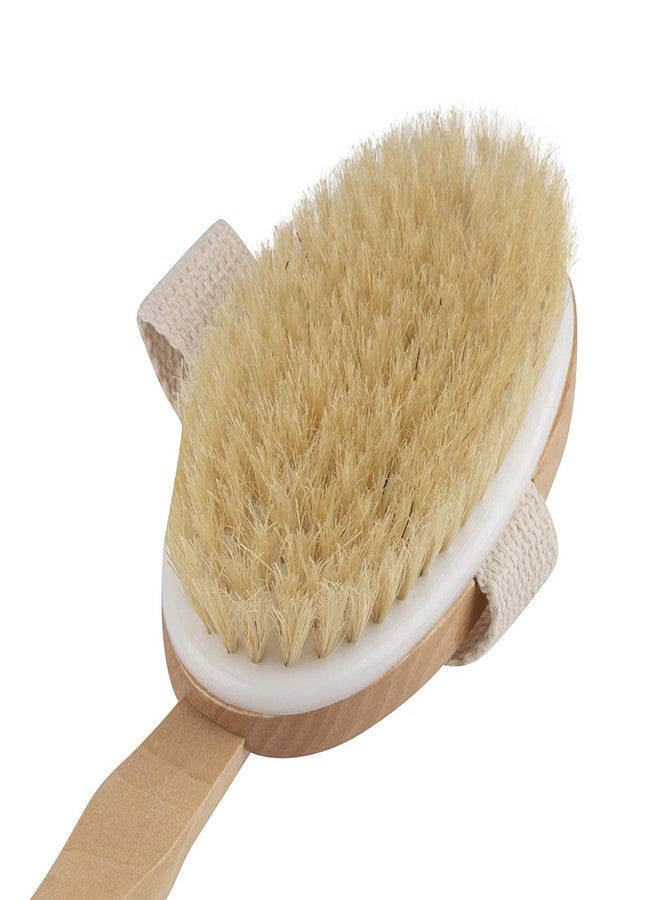 Juvale 2-Pack Detachable Dry Brushing Body Brush - Long Handle Back Brush for Showering and Dry Brushing, 16.9 Inches - Back Scrubber for Shower - Image 5