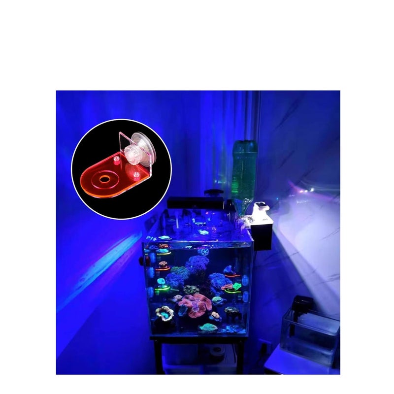 SOLARAE 4 Pcs Acrylic Coral Frag Rack, Fluorescent Coral Frag Rack with Powerful Suction Cup Coral Frag Holder Stand Reef Base Accessories for Household Fish Tanks - Image 4