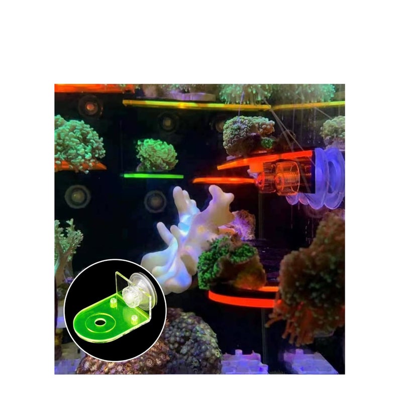 SOLARAE 4 Pcs Acrylic Coral Frag Rack, Fluorescent Coral Frag Rack with Powerful Suction Cup Coral Frag Holder Stand Reef Base Accessories for Household Fish Tanks - Image 3
