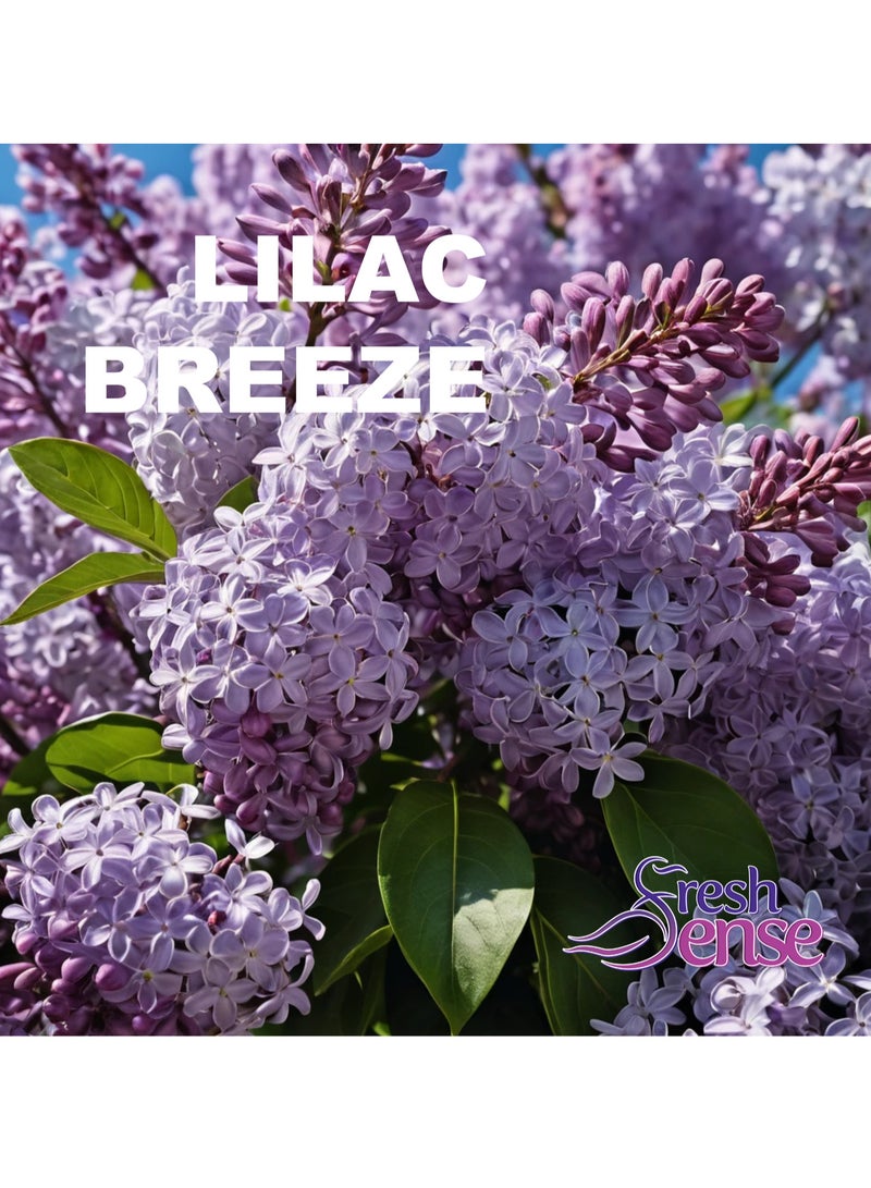 فريش سينس عبوة معطر هواء معاد تعبئته - عبوة من 6 × 260 مل - بخاخ معطر هواء أوتوماتيكي برذاذ تلقائي أرجواني للمنزل الحمام المرحاض المكتب يحيد الروائح الكريهة فريش سينس - Image 2