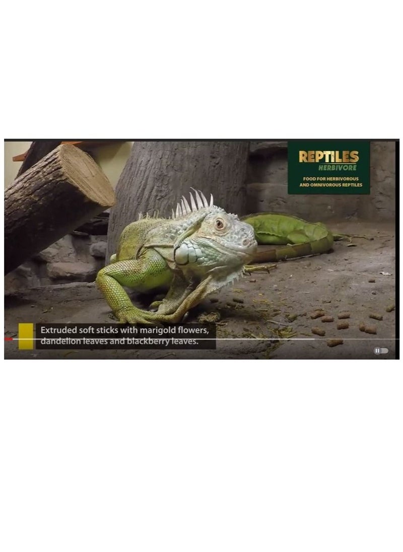 Tropical Reptiles Herbivore Soft formula 260g