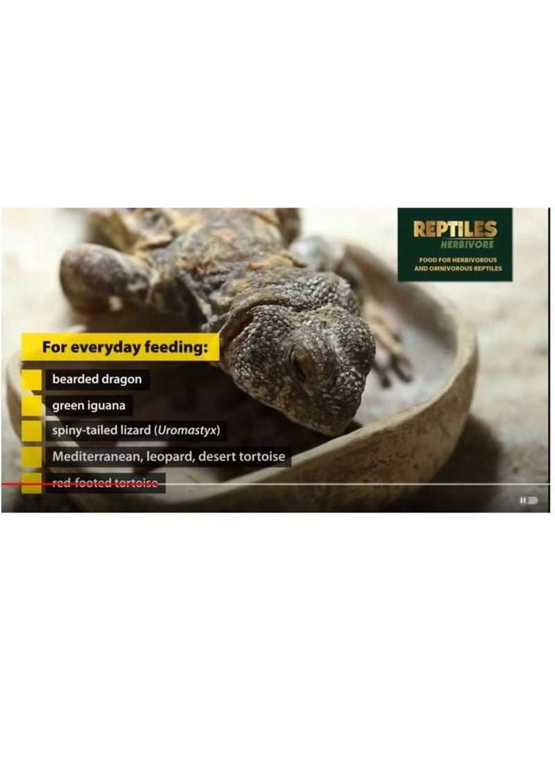 Tropical Reptiles Herbivore Soft formula 260g