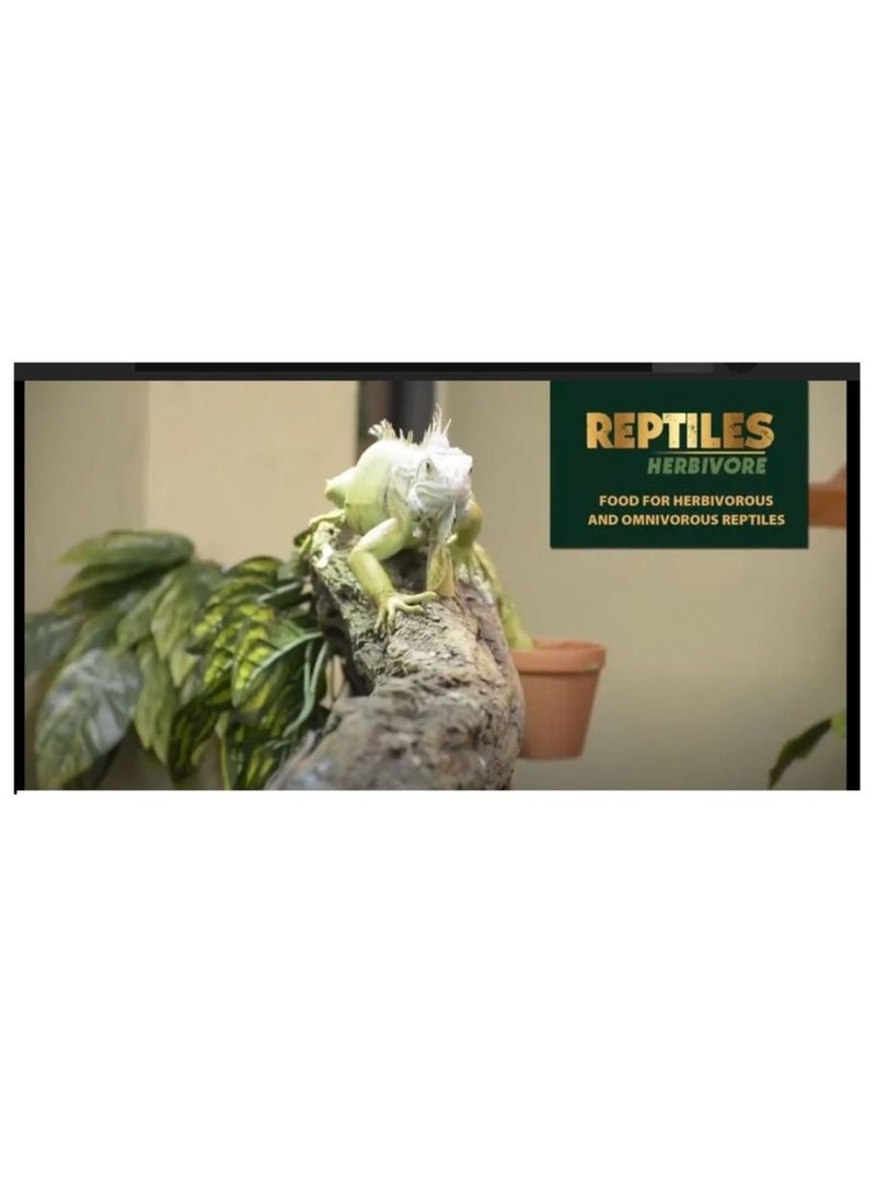 Tropical Reptiles Herbivore Soft formula 260g